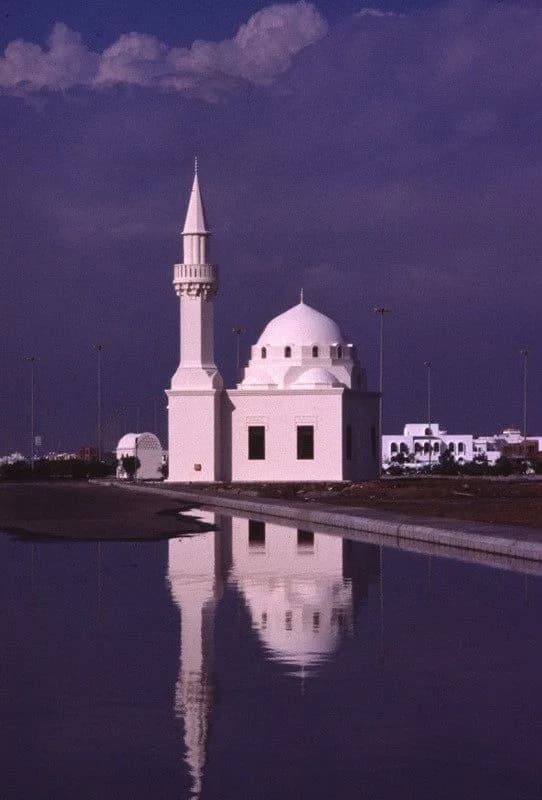 Bin Ladin Mosque, photo 1
