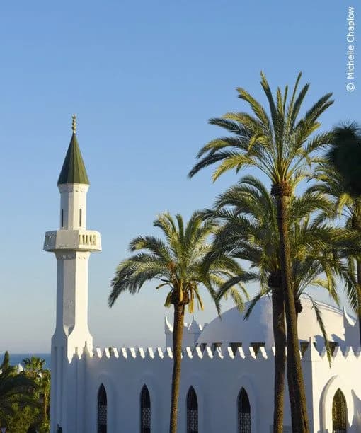 King Abdul Aziz Mosque, photo 10