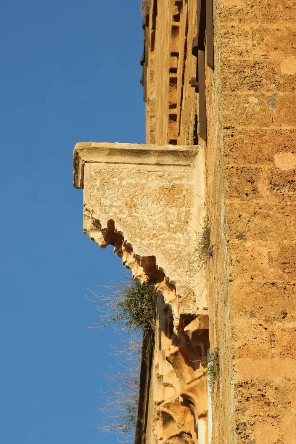 Mansoura Mosque, photo 5