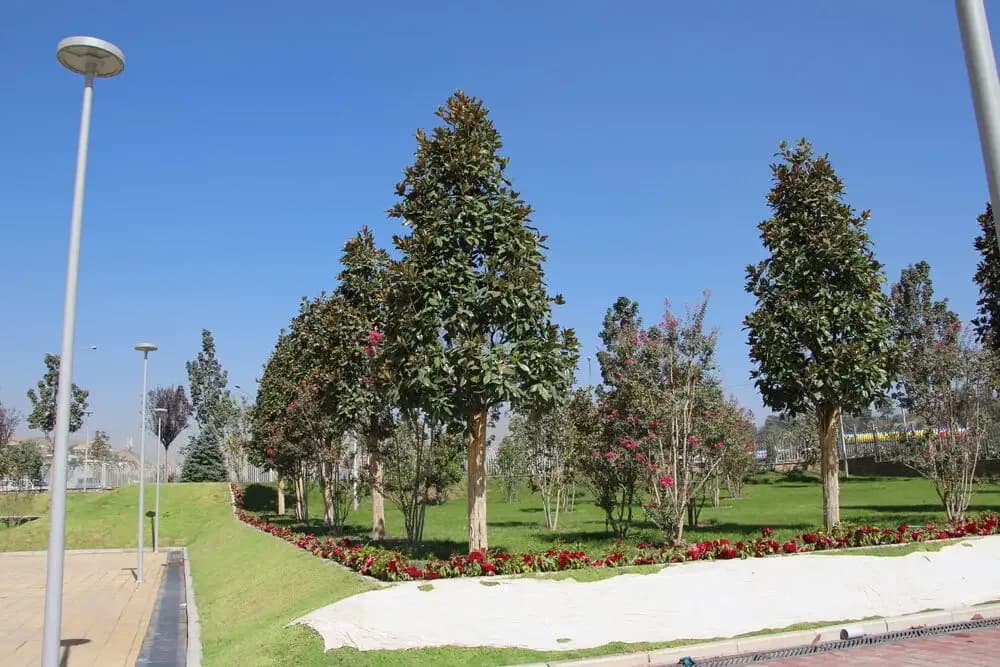Dushanbe Imam Abu Hanifa Cathedral Mosque (Central Cathedral Mosque), photo 6