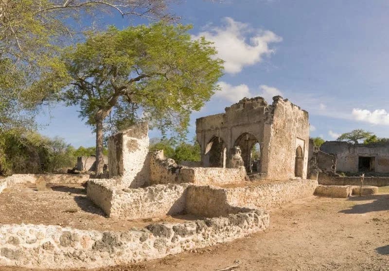 Ruins of Songo Mnara: Songo Mnara Central Mosque, photo 1