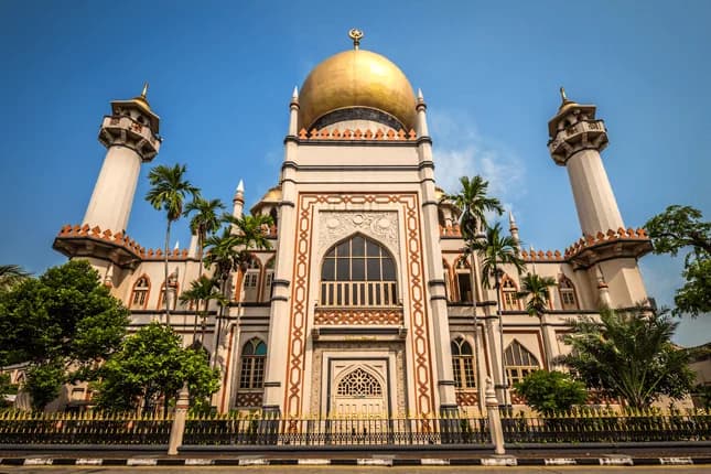 Sultan Mosque, photo 8