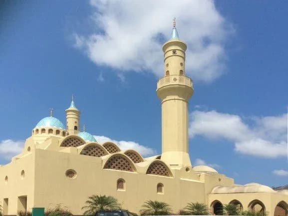 Ash-Shaliheen Mosque (مسجد الصالحين), photo 1
