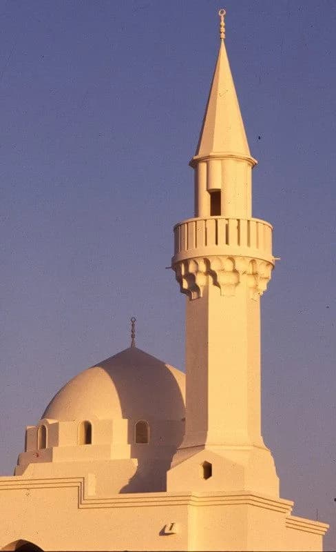 Bin Ladin Mosque, photo 2