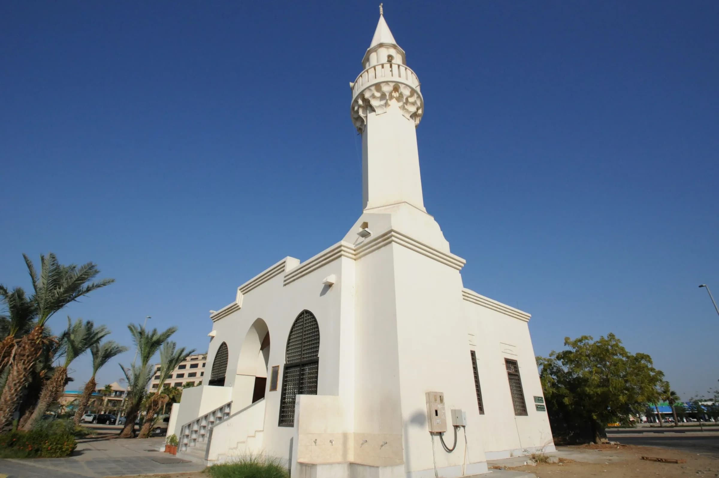 Bin Ladin Mosque, photo 8