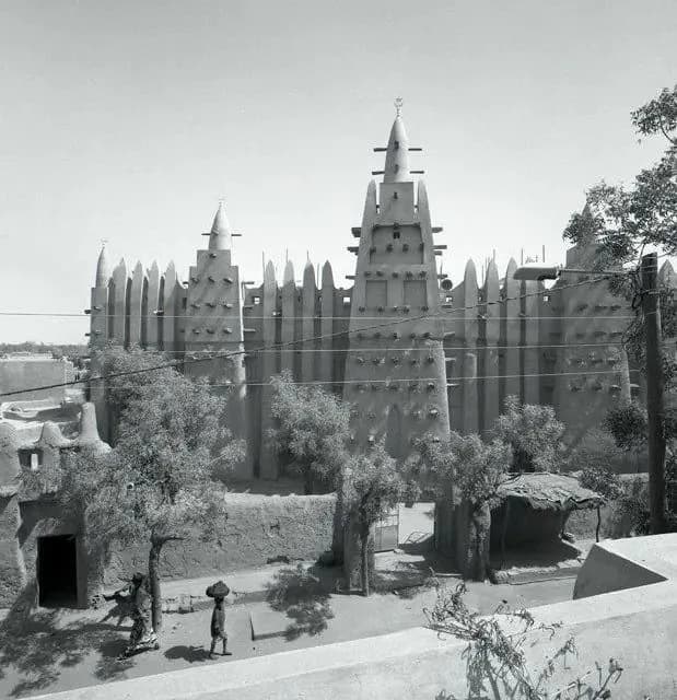 Great Mosque of Mopti (Komoguel Mosque), photo 14