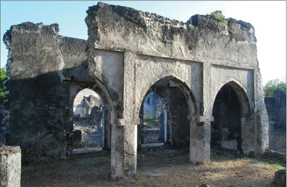 Ruins of Songo Mnara: Songo Mnara Northeast Mosque, photo 1