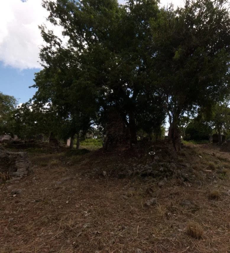 Ruins of Songo Mnara: Songo Mnara small Mosque, photo 3